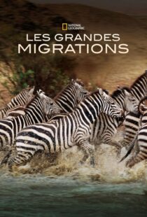 دانلود مستند Great Migrations417146-1790579728