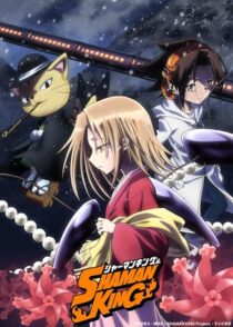 دانلود انیمه Shaman King422246-454790081