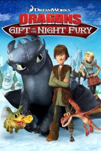 دانلود انیمیشن Dragons: Gift of the Night Fury 2011426418-1564895654