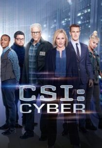 دانلود سریال CSI: Cyber428329-1752797955
