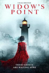 دانلود فیلم Widow’s Point 2019428433-1315263454