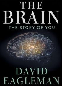 دانلود سریال The Brain with Dr. David Eagleman428613-1561082077