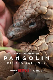 دانلود مستند Pangolin: Kulu’s Journey 2025430703-1623854775