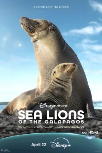 دانلود مستند Sea Lions of the Galapagos 2025431056-1365201576